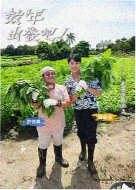 脱口秀之夜 欧美综艺节目